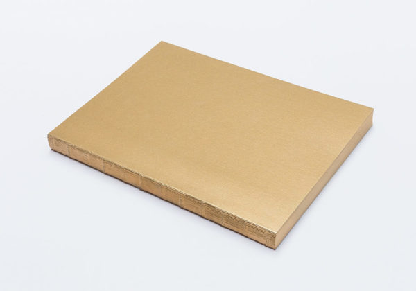 voala_gold notebook with colored edges