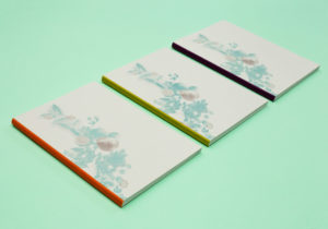 birell botanicals notebook