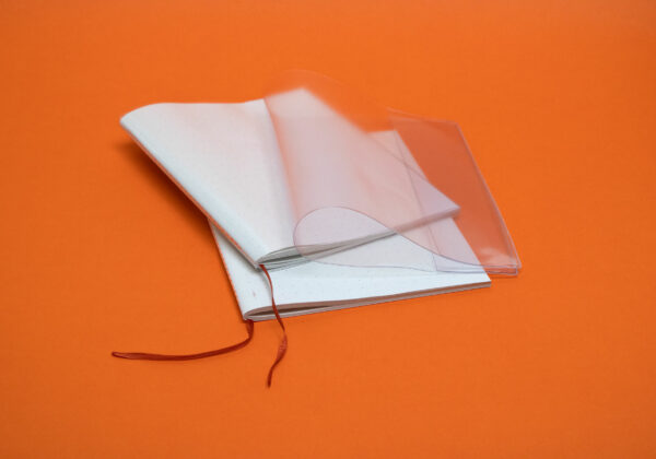 voala_nudist notebook without cover