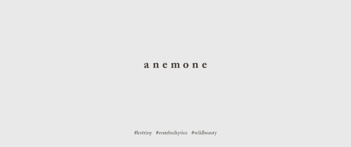 voala_anemone