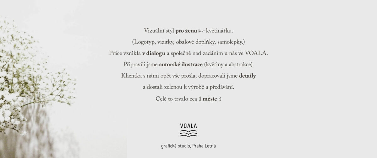 voala_anemone