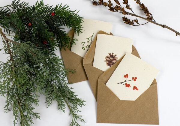 VOALA COLL. ADVENT TIME