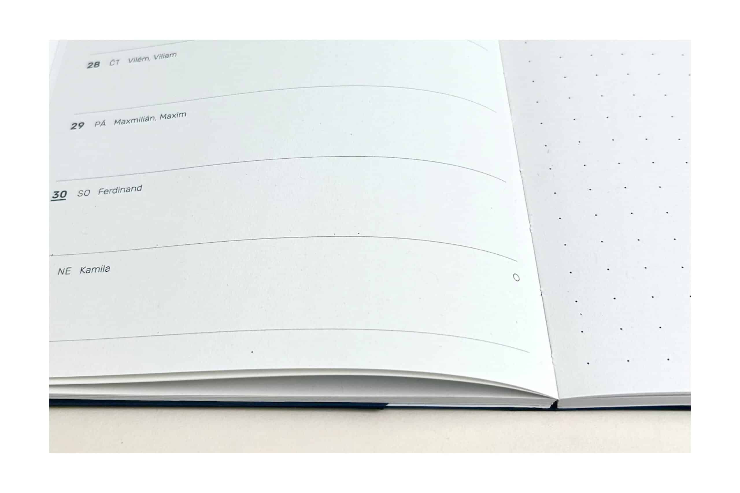 diář 26 LUMIO Voala