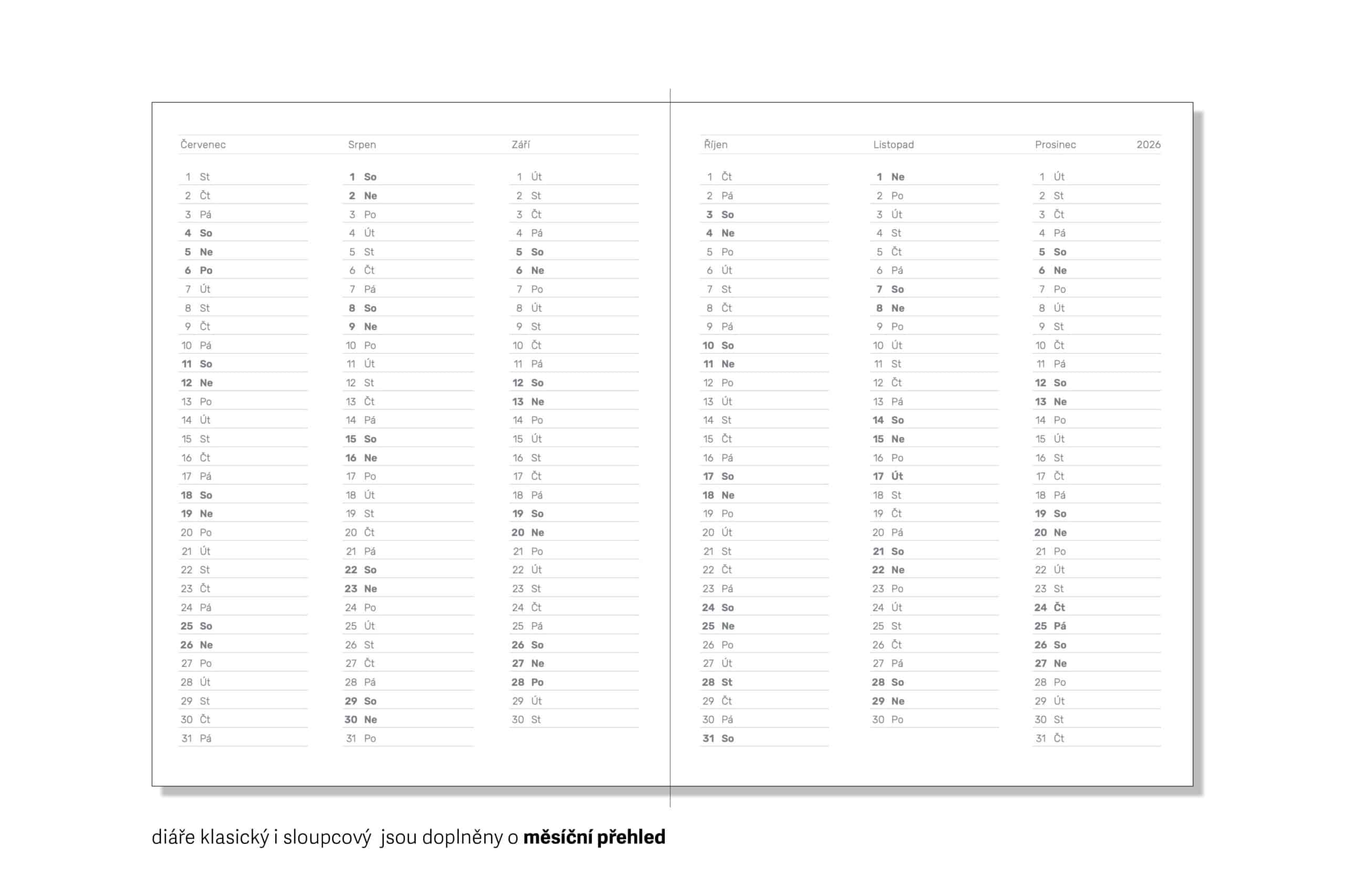 Diář 26_Mystique grey Gingko