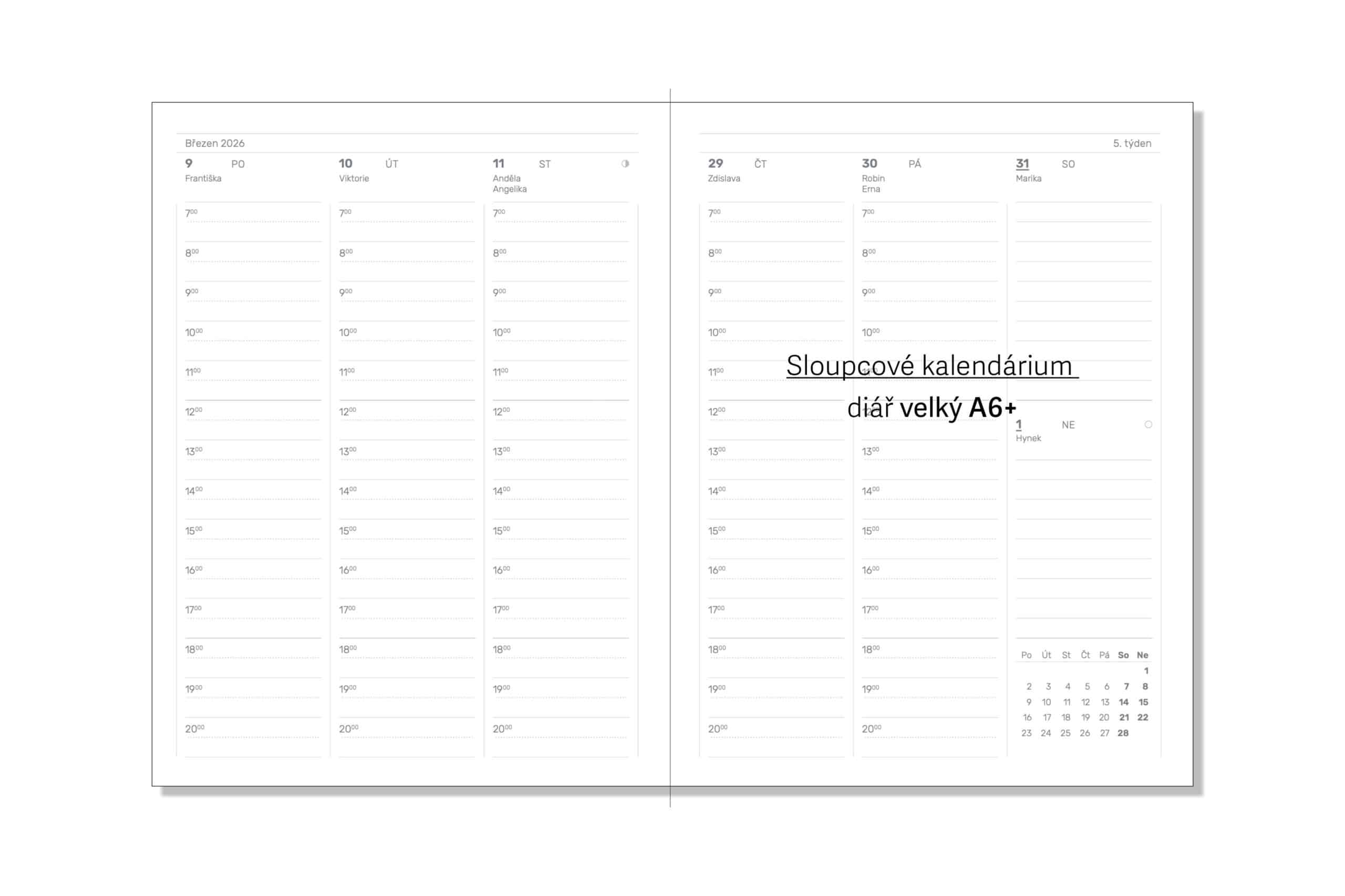 Diář 26_Mystique grey Gingko