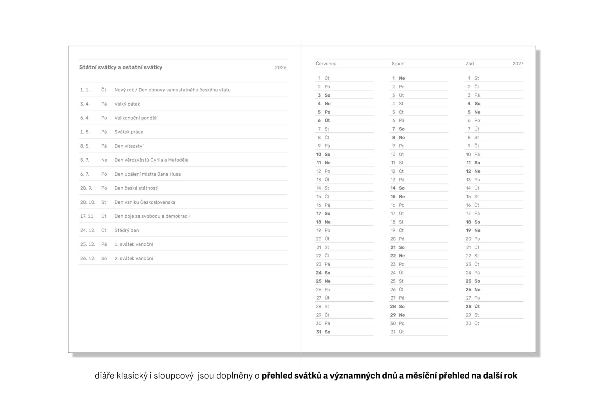 Diář 26_Mystique grey Gingko