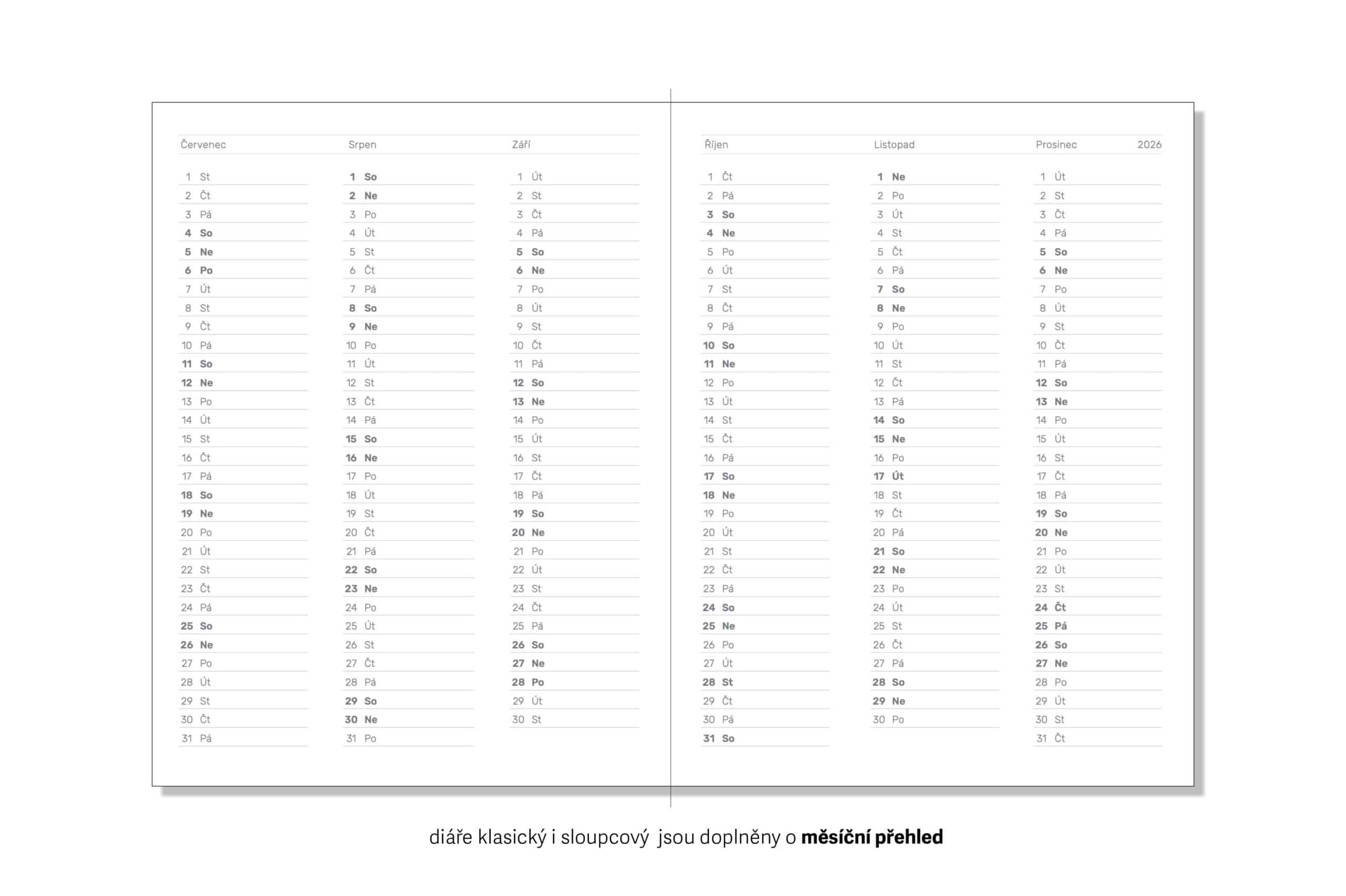 Diář 26_Mystique grey Gingko