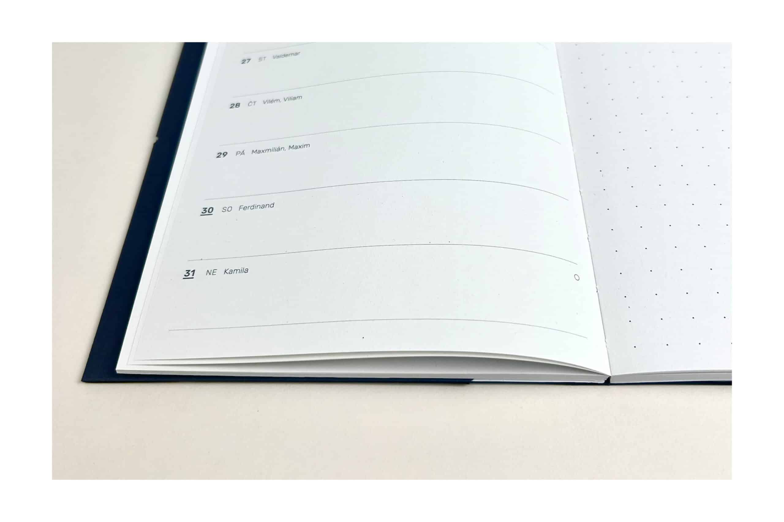 Diář 26_Mystique grey Gingko